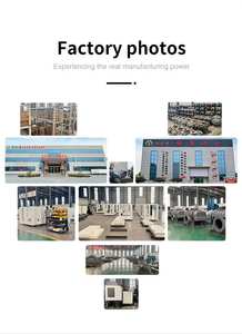 Soplador Industrial de Tipo Raíz con Motor Eléctrico de CA de Alta Presión Pequeño, Fabricado en China, Construcción de Hierro Fundido, OEM, 1 Año de Garantía - Product Image 6