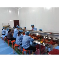 Prix usine Petite taille 500kg Usine de transformation de confiture de fruits Sauce réfrigérée Purée de tomate Machine Ligne de production de pâte de ketchup