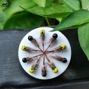 OEM Combo de 5 piezas de <span class=keywords><strong>Ninfas</strong></span> sin púas con cabeza de tungsteno de hundimiento rápido para agua dulce, para trucha y lubina 14 #   16 #   18 # - Product Image 5