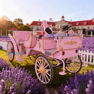 Charrette de mariage électrique rose, chariot de tourisme européen à chevaux, calèche de chevaux pour visites touristiques - Product Image 1