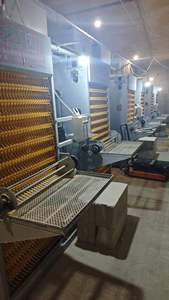 Nouveau système de cages à poulets empilables en A pour l'élevage avicole, construction métallique galvanisée à chaud, nettoyage facile, pour <span class=keywords><strong>poules</strong></span> pondeuses - Product Image 2