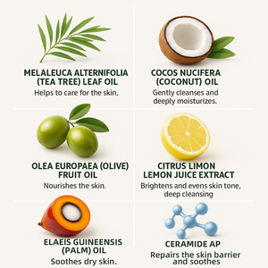Fabrikanten Bulk Voedende Verlichtende Verjongende Huidreinigende Fabrikanten Bulk Natuurlijke Tea Tree Olie Zeepstaaf - Product Image 4