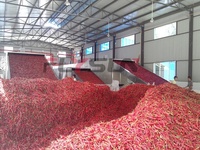 Séchoir à bande maillée automatique PLC personnalisé en usine pour la déshydratation des fleurs et des chrysanthèmes, haute efficacité, économie d'énergie