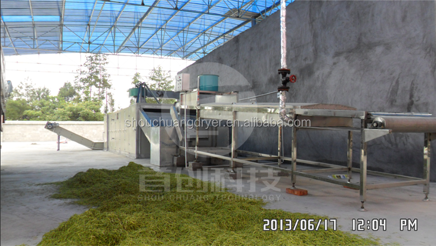 Shouchuang Máy Phôi/Rau Blancher/Thực Phẩm Blanching Máy
