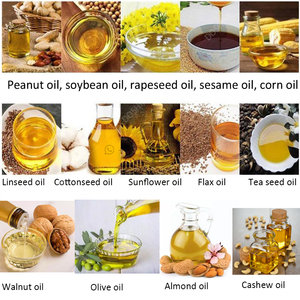 Máy Chiết Xuất Dầu Bơ Chất Lượng Cao Máy Chiết Xuất Dầu Hạt Bông Với Bộ Lọc - Product Image 5