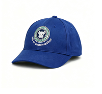 Op maat gemaakte 3D geborduurde logo baseballcap van gewassen katoen, gebogen klep, unisex, casual sportpet, gepersonaliseerd patroon