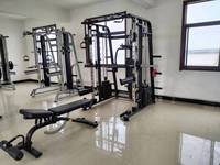 Máquina Smith multifuncional de Fitness comercial, equipo de gimnasio 3D, Cable de entrenamiento, máquina Smith, estante de alimentación en cuclillas