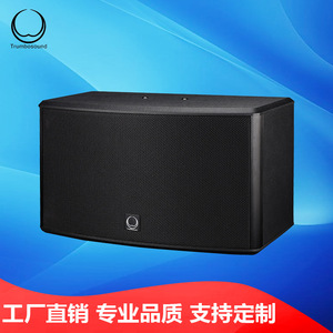 Altavoces Trumbosound Stage RS310 2.0 Canales, Equipo de Audio Profesional para Conferencias y Uso en Escenarios - Product Image 5