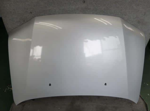 جودة عالية وسعر منخفض غطاء محرك السيارة لتويوتا بروبوكس - Product Image 6