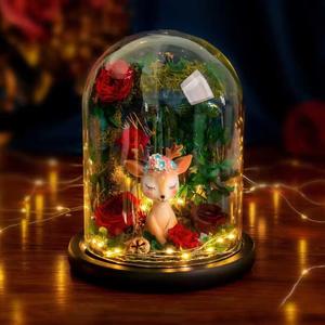 Rosas eternas para <span class=keywords><strong>siempre</strong></span> con tallos Flor preservada Rosas naturales preservadas reales en cúpula de cristal - Product Image 5