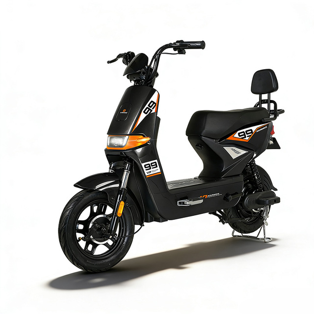 Hot Sale 1000W Electric Bicycle High Quality Wholesale Electric Motorcycle Electric Bike 48v/60v Electrical Bicycle