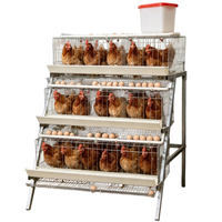 Cage à poulets en acier robuste à 48 têtes, conception de type D, longue durée de vie, système de cages en batterie pour poulailler, à vendre