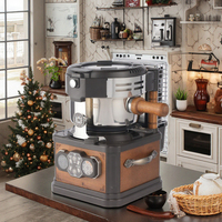 Machine de torréfaction de café à domicile automatique classique professionnelle petite torréfacteur de fèves de cacao Source d'alimentation électrique pour la vente à usage domestique