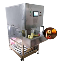 Fruit Citroen Appel Oranje Mango Schilmachine