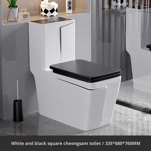 Vente chaude économie d'eau moderne de Style européen toilette en céramique coloré Siphon rinçage noir fermeture lente double bouton - Product Image 2