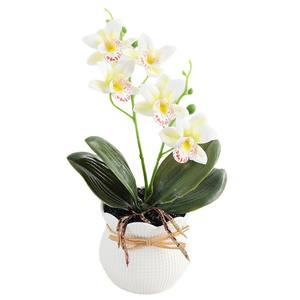Suministro directo PU Artificial <span class=keywords><strong>Magnolia</strong></span> grande <span class=keywords><strong>Grandiflora</strong></span> Plantas en maceta-Moderno de larga duración Natural Real Touch Home - Product Image 5