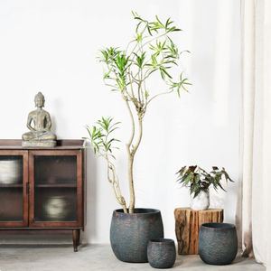 Precio del fabricante OEM ODM Cemento Maceta Artesanía Jardín Decoración Jugosa Planta Maceta - Product Image 3