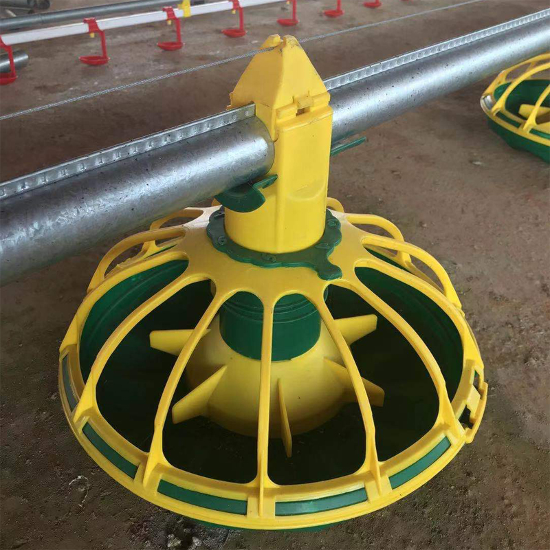 Automatic broiler / chicken / poultry pan feeding line