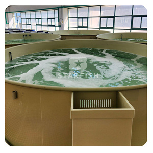 Bể cá trong nhà đa năng, chất liệu PP, mẫu mới 2025, bán buôn, bán chạy nhất, có thể tùy chỉnh - Product Image 4