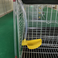 Cages d'élevage de cailles automatiques prix d'usine Offres Spéciales nouvel état