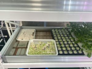 Système de culture hydroponique vertical en serre, table de culture à flux et reflux, système de culture hydroponique 4x8, système de culture sans sol, semis vertical - Product Image 4