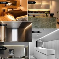 Bande LED COB ultra fine de 3mm 5mm 12V 24V RA>90 High CRI LED Tape Light Cuttable Flexible 16.4FT Super Bright COB Strip Light