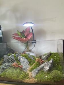 360 Degree Rotatable LED <strong>Aquarium</strong> Light Clip-on Fish Tank Lamp Simulated <strong>Sunlight</strong> Dimmable 3 Modes for Nano Tank - Product Image 5