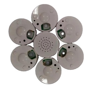 Máy Ghi Âm Ẩn Siêu Nhỏ Tùy Chỉnh Cho Thú Nhồi Bông Đồ Chơi Nhồi Bông Gấu Teddy Chó Cừu Thỏ Đồ Chơi Voi - Product Image 3