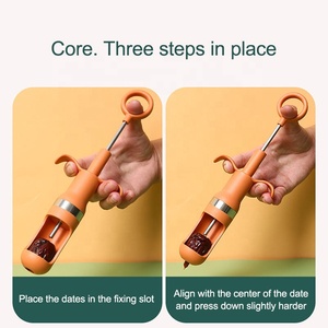 Décortiqueur <span class=keywords><strong>de</strong></span> cerises et <span class=keywords><strong>de</strong></span> jujubes en acier inoxydable portable, économique, à poussoir rapide, pour vente en gros - Product Image 5