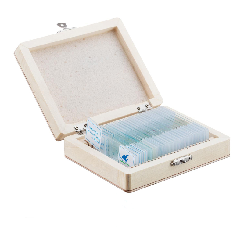 Горячая Распродажа, 25 шт., человеческая гистология, готовый микроскоп, стеклянные предметы, набор для лабораторных исследований