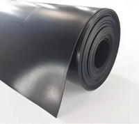 Géomembrane HDPE sur mesure, épaisseur personnalisée, imperméable, anti-UV, écologique, pour l'aquaculture, les étangs à poissons, les fermes de crevettes en extérieur, les barrages