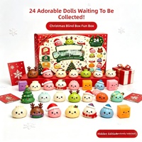 Calendrier de l'Avent transfrontalier de Noël : Boîte cadeau de jouets anti-stress créatifs en plastique pour les 14 ans et plus