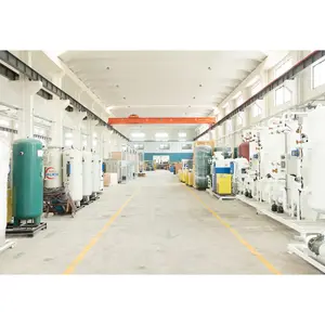 Multi Functional Nitrogen Station Skid Mounted Plant Nitrogen System PSA Unit nitrogen plasma machine