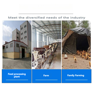 Mini 400 kg/giờ cá pelletizer thức ăn máy Điều kiện Mới cho vật nuôi và động vật cho ăn Nhà sản xuất thực phẩm Viên Mill Máy ép - Product Image 2