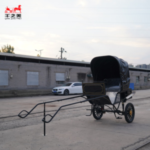 2026 <span class=keywords><strong>Chariot</strong></span> <span class=keywords><strong>à</strong></span> chevaux vintage de haute qualité, promotion, excellent <span class=keywords><strong>chariot</strong></span> <span class=keywords><strong>à</strong></span> 2 roues pour mini-chevaux, <span class=keywords><strong>à</strong></span> vendre, <span class=keywords><strong>chariot</strong></span> de défilé - Product Image 3