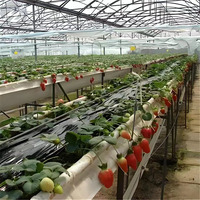 Système de culture hydroponique de fraises en gouttière PVC de qualité alimentaire pour serre commerciale, personnalisable