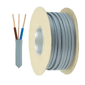 2.5毫米电线电缆扁平实心或绞合铜双接地电缆