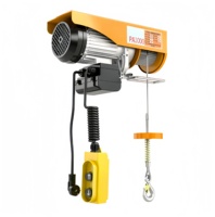 Mini palan électrique PA200 PA300 PA500, petit palan à câble métallique 220V, treuil de levage électrique portable