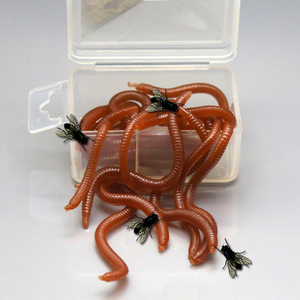 Señuelos de Pesca de Silicona Suave con Aroma a Pescado Rojo de 20g, Cebos para Pesca de Carpa en Agua Dulce, Atrayente Universal en Caja - Product Image 2