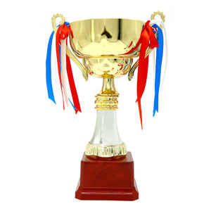 Factory Direct Custom Souvenir Design lega metallo boxe Judo Sport Karate Taekwondo Trophy Award Cups <span class=keywords><strong>Memento</strong></span> - Product Image 5