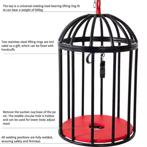 New <strong>BDSM</strong> Slave Bondage Hanging Bird <strong>Cage</strong> Sex <strong>Furniture</strong> Metal Dog <strong>Cage</strong> Slave Restraint Tool Training <strong>Cage</strong> - Product Image 4