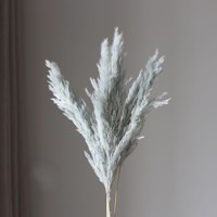 Buket Bunga Kering Alami Lavender Pampas Grass Boho Chic Ukuran Besar, Tahan Lama, Buatan Tangan, untuk Pernikahan dan Hari Valentine