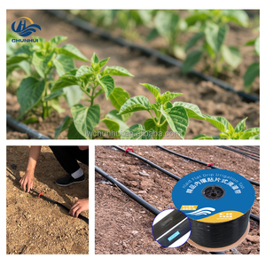 Ruban goutte à goutte en plastique d'irrigation personnalisé en usine tuyau goutte à goutte de 16mm pour l'<span class=keywords><strong>arrosage</strong></span> agriculture système d'irrigation goutte à goutte <span class=keywords><strong>automatique</strong></span> - Product Image 1