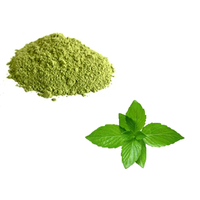 Poudre de menthe naturelle de haute qualité, qualité alimentaire, extrait d'herbes, emballage sous vide en fût