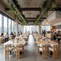 Chaises de salle à manger pour restaurants, tissu bouclé, structure en bois massif, sièges pour hôtels et restaurants, fabricant de chaises de salle à manger, fabricant OEM