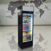 Réfrigérateurs commerciaux à porte vitrée, à température unique, pour boissons, vitrines de présentation, sur mesure, à refroidissement par air, mécaniques, avec LED