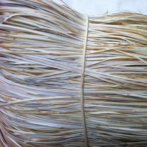 Modelo EW, varios tamaños de Rattan Peel para chaircan hecho en Vietham - Product Image 1