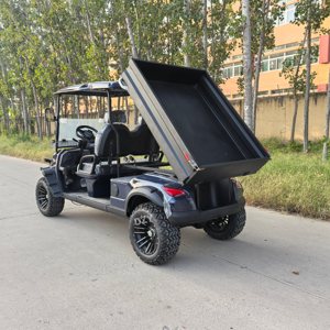 Voiturette de golf électrique 72V/48V avec batterie au lithium, suspension indépendante, 2 places, vitesse 30-50 km/h, autonomie 90 km, contrôleur Imbor 3528, 510 kg - Product Image 1