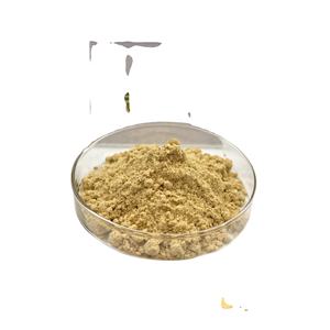 Poudre organique naturelle pure d'extrait de racine de gingembre d'approvisionnement poudre de gingembre - Product Image 2