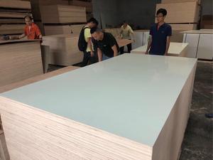 Trung Quốc chất lượng tốt 3 mét melamine MDF <span class=keywords><strong>HDF</strong></span> Board 9 mét cao Glossy Pet melamine MDF 18 mét Trắng melamine MDF Board - Product Image 3